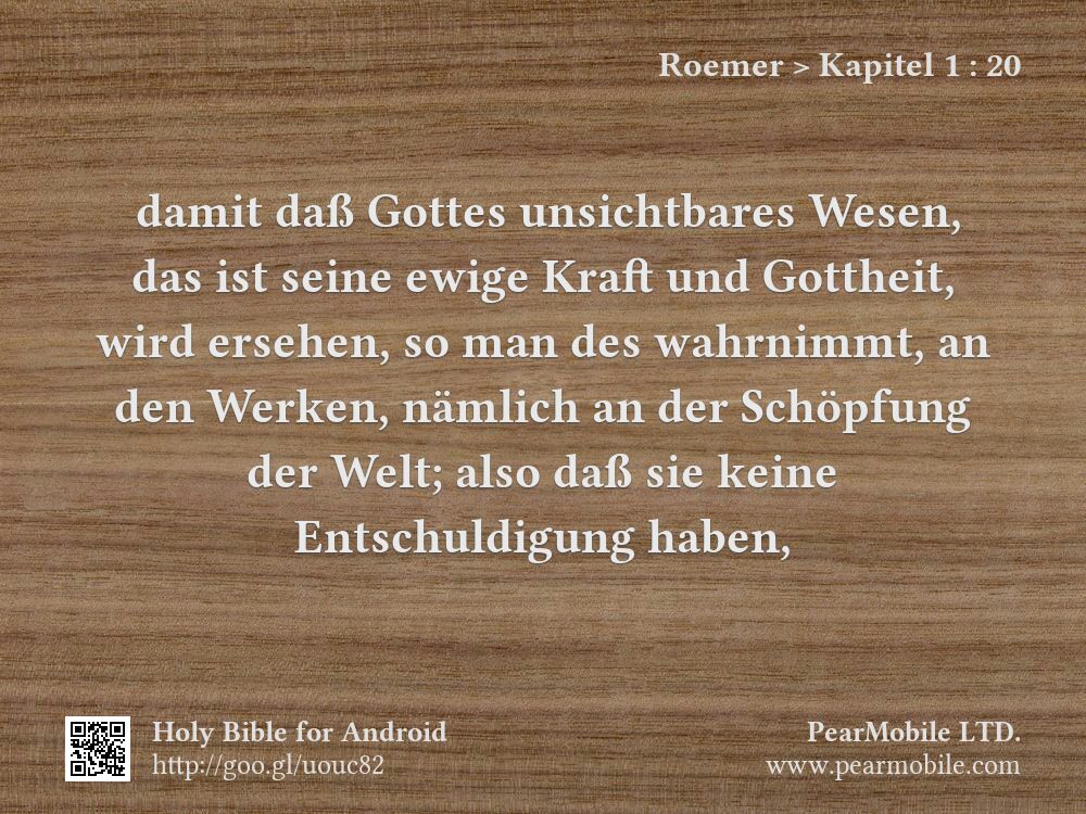 Roemer, Kapitel 1:20